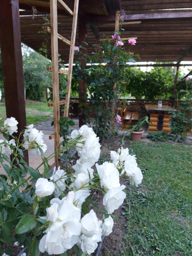 Kolpinghaus Bed & Breakfast Caransebeş Екстериор снимка