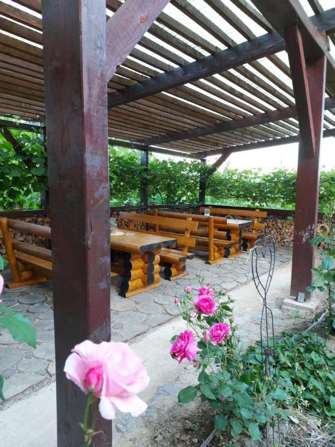 Kolpinghaus Bed & Breakfast Caransebeş Екстериор снимка