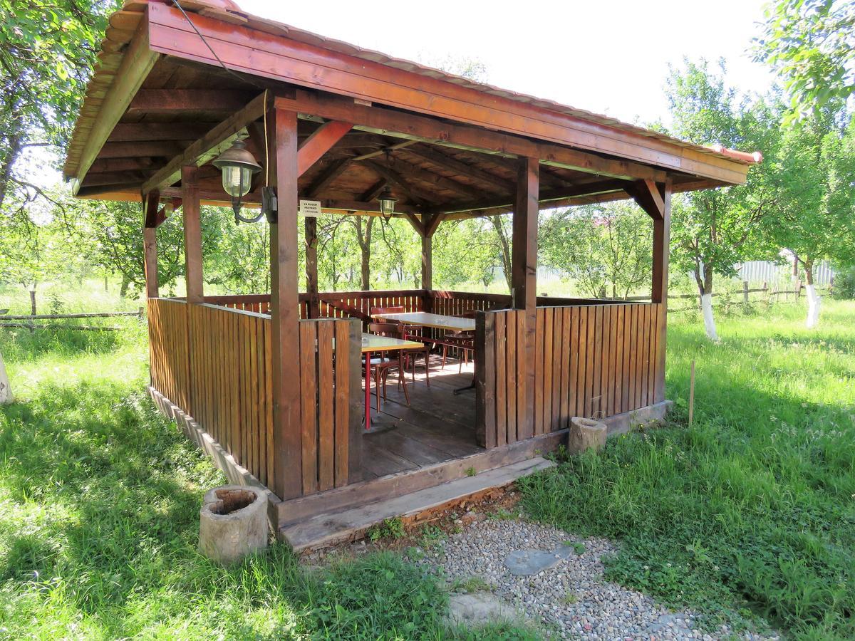 Kolpinghaus Bed & Breakfast Caransebeş Екстериор снимка