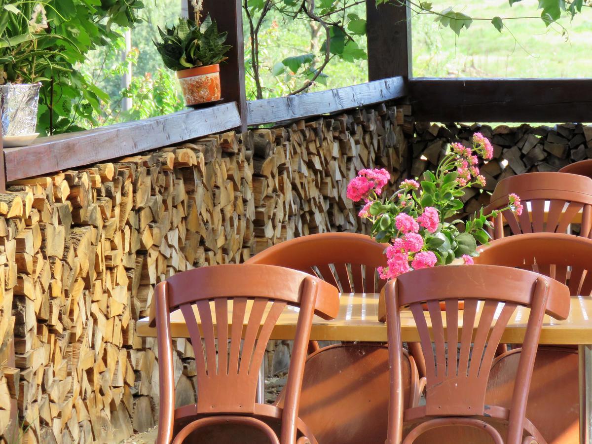 Kolpinghaus Bed & Breakfast Caransebeş Екстериор снимка